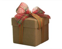 El mejor regalo de Navidad