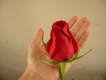 Un día para compartir