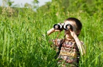 Semana de la Ciencia, acerca a tu hijo al universo científico