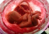 ¿Debo coger en brazos a mi bebé o dejarlo llorar?