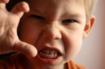 Cómo actuar cuando un niño muerde a otros niños